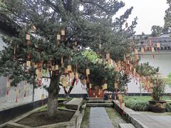 -东山雕花楼