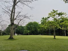 -云溪植物园