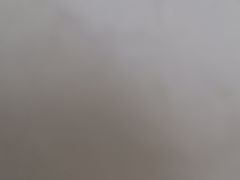 -狗撵鸭(泰山公寓店)