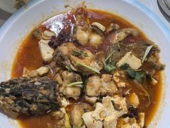 -煲来饱去冷水鱼