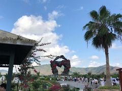 -亚龙湾国际玫瑰谷