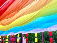 -漩门湾国家湿地公园