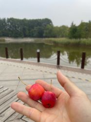 -大望京儿童游乐场