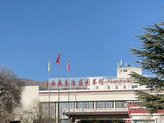 -西藏自治区图书馆