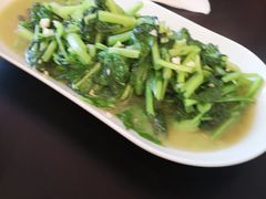 -陈家面馆