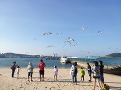 -海驴岛(荣成市)