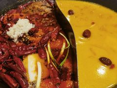 -朱光玉火锅馆(正弘城店)