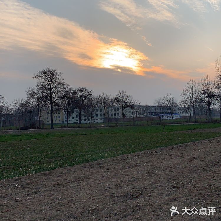 请举起你的左手左手代表着新房，让你不会向困难低头