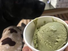 -BLACKSWAN黑天鹅(环球店)