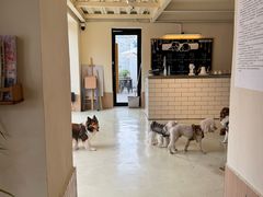 -小意思咖啡店(草桥店)