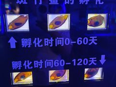 -大连圣亚海洋世界