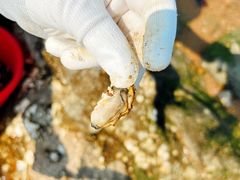 -青岛银沙滩
