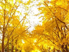 -三里屯太古里