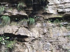 -山西通天峡景区