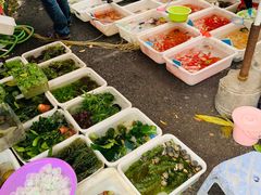 -清平路水族市场