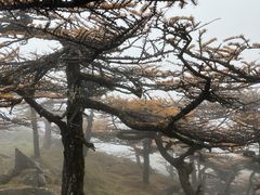-秦岭风景区