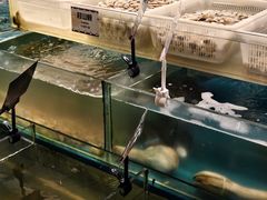 -喷泉广场餐厅·宵夜·海鲜烧烤大排档(长隆企鹅酒店)