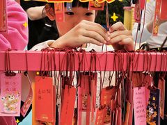 -广州长隆国际大马戏