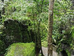 -梭布垭石林景区