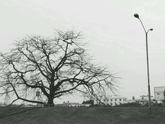 -怡海公园(桂城街道)