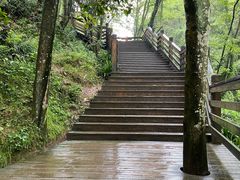 -青城山