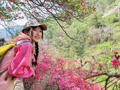 -木兰云雾山