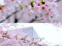 -龙美术馆(西岸馆)