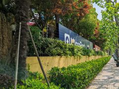 -上海微创医疗器械（集团）有限公司