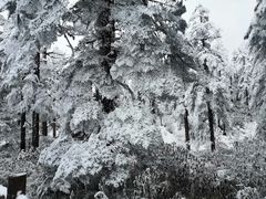-瓦屋山景区