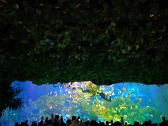 -芜湖新华联大白鲸海洋公园