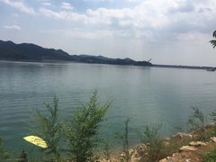 -望湖烤鱼