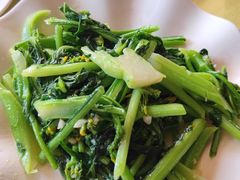 增城迟菜心-荔枝红五号农庄