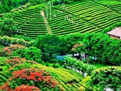 -梅州天地人花园酒店(梅县人民广场店)