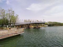-大兴滨河森林公园