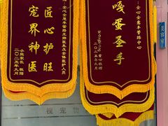 -全心全意连锁动物医院·微创中心·内科急重症·心脏专科(丰管路店)