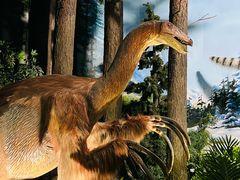 -陕西自然博物馆