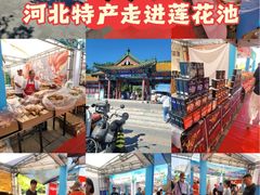 -莲花池公园
