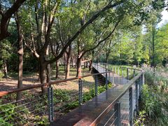 -昆山城市生态森林公园