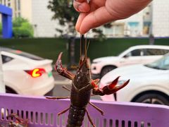 -靓靓蒸虾·头牌蒸虾(雪松路总店)