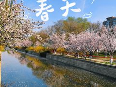 -元大都城垣遗址公园