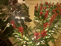 -利顺德大饭店·维多利亚花园(小白楼店)