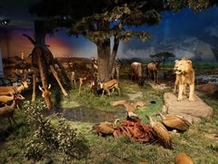 -国家自然博物馆