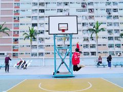 -彩虹村