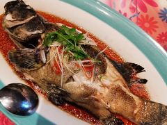 -百富源·海鲜辽菜(浑河堡店)