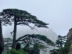 -黄山风景区
