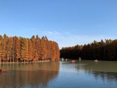 -上海海湾国家森林公园