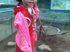 -西霞口神雕山野生动物世界