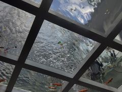 -蜜舍咖啡(洋人街店)