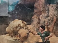 -清迈夜间动物园