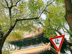 -北京国子监胡同